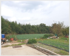  2024Ÿ111610 λ  1 806-6       ()