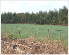  2024Ÿ111610 λ  1 806-6       ()