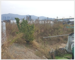  2024Ÿ111610 λ  1 806-6       ()