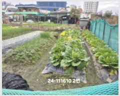  2024Ÿ111610 λ  1 806-6       ()