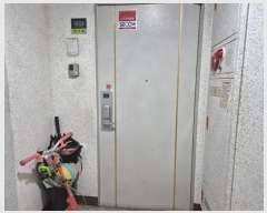  2024Ÿ��113470  ����Ʈ���