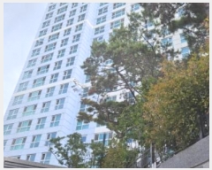  2024Ÿ��2228 �λ� ���ϱ� ����� 93, 104�� 21��2103ȣ (����,����Ÿ�����������)    ���ǽ��ڰ��