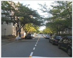  2024Ÿ��3306 �λ� ������ ������ 3237-4       ���ڽü�,����,ȣ��,�������