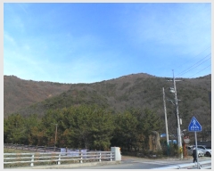  2024Ÿ112637 λ  絿 2-2       (Ӿ)