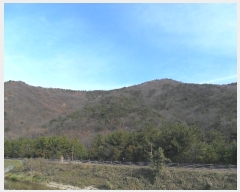  2024Ÿ112637 λ  絿 2-2       (Ӿ)