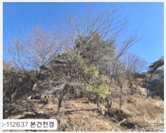  2024Ÿ112637 λ  絿 2-2       (Ӿ)