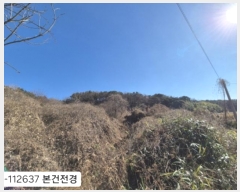  2024Ÿ112637 λ  絿 2-2       (Ӿ)