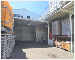  2024Ÿ��2075 �λ� ���ϱ� �帲�� 1083-2       ������