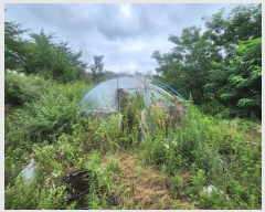  2024Ÿ��2785 �λ� ������ ������ 1527-8       ����(����)���