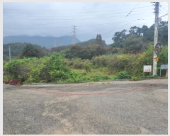  2024Ÿ��3689  ����