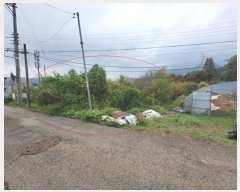  2024Ÿ��3689  ����