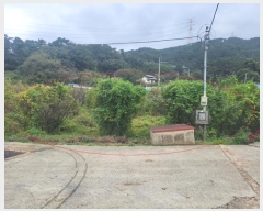  2024Ÿ��3689  ����