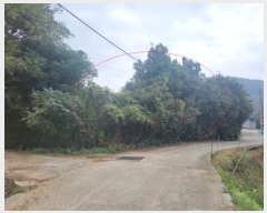  2024Ÿ��3689  ����