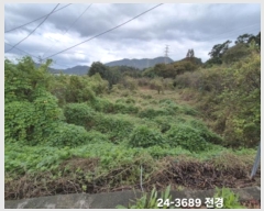  2024Ÿ��3689  ����