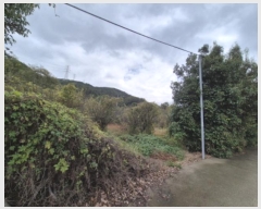  2024Ÿ��3689  ����