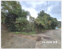  2024Ÿ��3689  ����