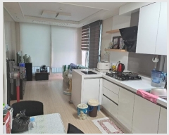  2024Ÿ3986 λ  ο 33, 4407ȣ (ŵ1,ſӸ)     ǽڰ