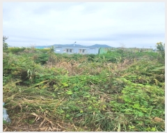  2024Ÿ4071 λ   3463-13       ()