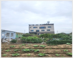  2024Ÿ4071 λ   3463-13       ()