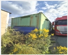  2024Ÿ4071 λ   3463-13       ()