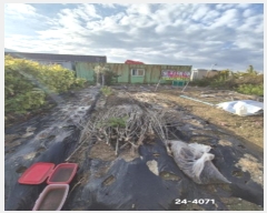  2024Ÿ4071 λ   3463-13       ()