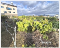  2024Ÿ4071 λ   3463-13       ()