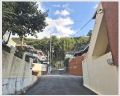  2024Ÿ��4132  �������