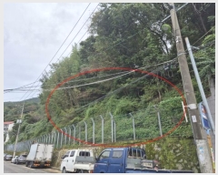  2024Ÿ��4132  �������