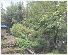  2024Ÿ��4132  �������