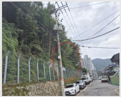  2024Ÿ��4132  �������