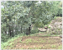  2024Ÿ��4132  �������