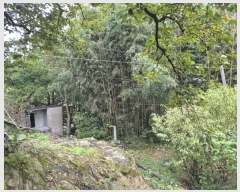  2024Ÿ��4132  �������