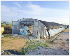  2024Ÿ��4187  ����