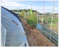  2024Ÿ��4187  ����