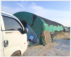  2024Ÿ��4187  ����