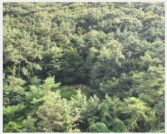  2024Ÿ��107093  �Ӿ߰��