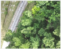  2024Ÿ��107093  �Ӿ߰��