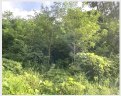  2024Ÿ��107093  �Ӿ߰��