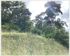  2024Ÿ��107093  �Ӿ߰��