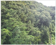  2024Ÿ��107093  �Ӿ߰��