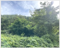  2024Ÿ��107093  �Ӿ߰��