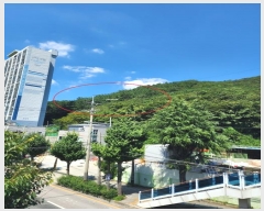  2024Ÿ108898 λ  嵿 114-1       (Ӿ)