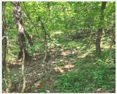  2024Ÿ108898 λ  嵿 114-1       (Ӿ)