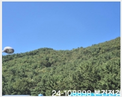  2024Ÿ108898 λ  嵿 114-1       (Ӿ)