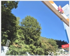  2024Ÿ108898 λ  嵿 114-1       (Ӿ)