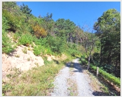  2024Ÿ��110730  �Ӿ߰��