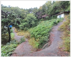  2024Ÿ��110730  �Ӿ߰��