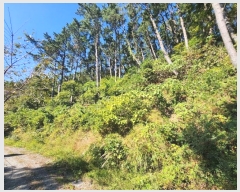  2024Ÿ��110730  �Ӿ߰��