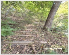  2024Ÿ��110730  �Ӿ߰��