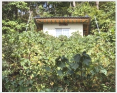  2024Ÿ��110730  �Ӿ߰��